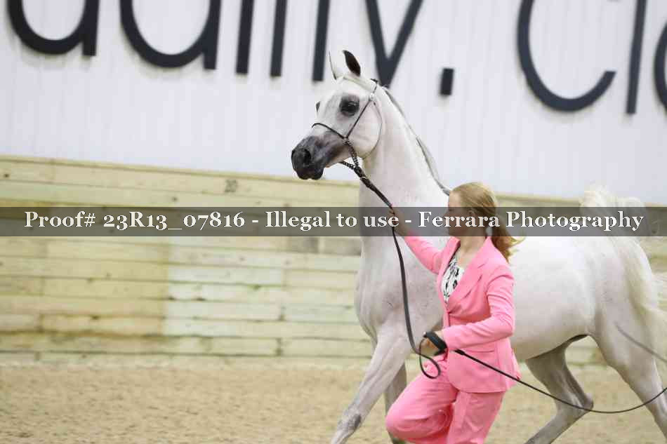 Proof 23R13_07816
