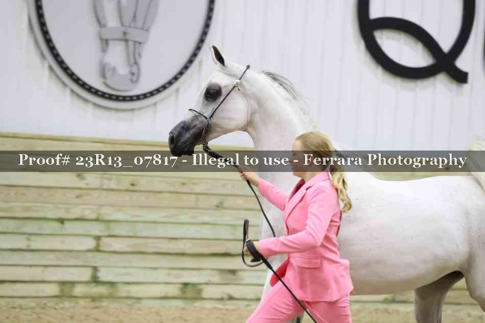 Proof 23R13_07817
