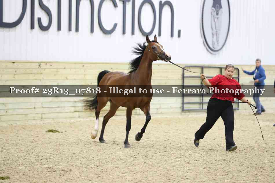 Proof 23R13_07818