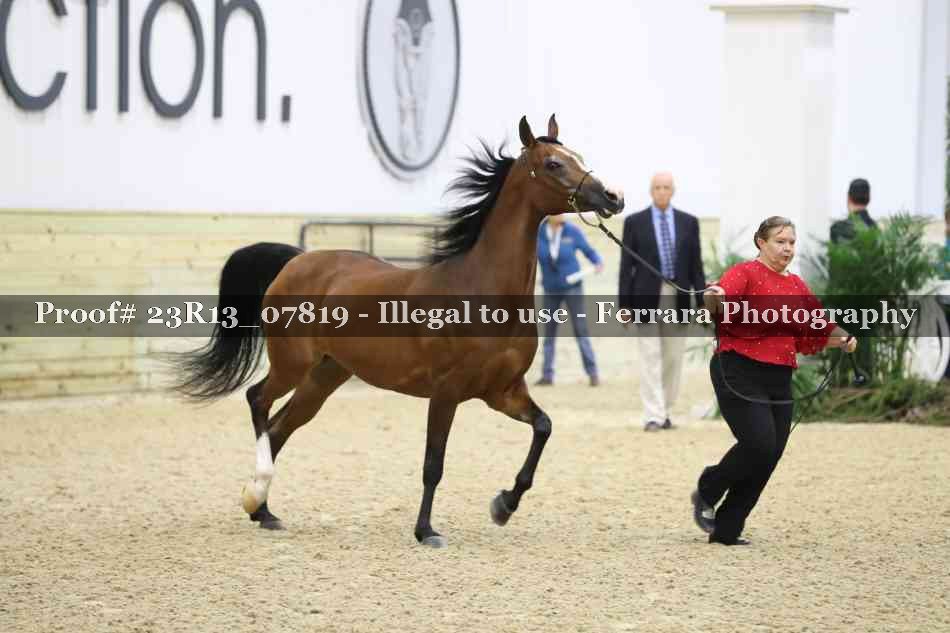 Proof 23R13_07819