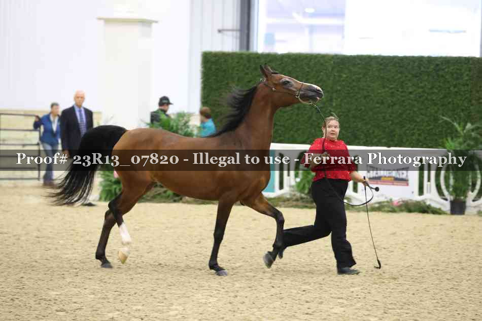 Proof 23R13_07820