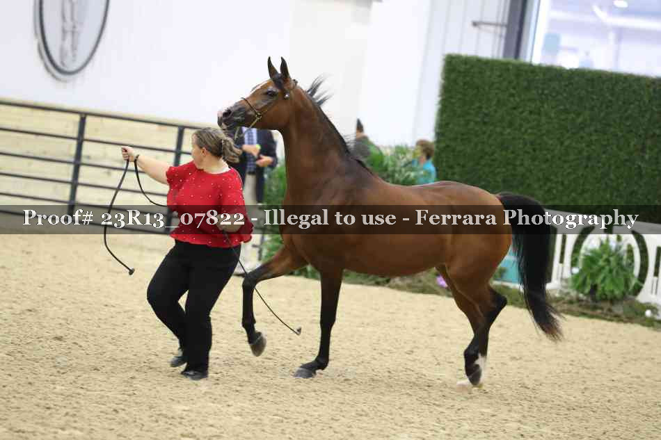 Proof 23R13_07822