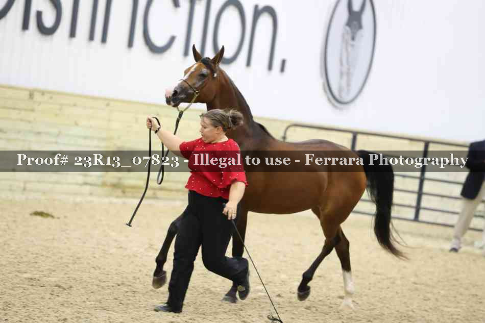 Proof 23R13_07823