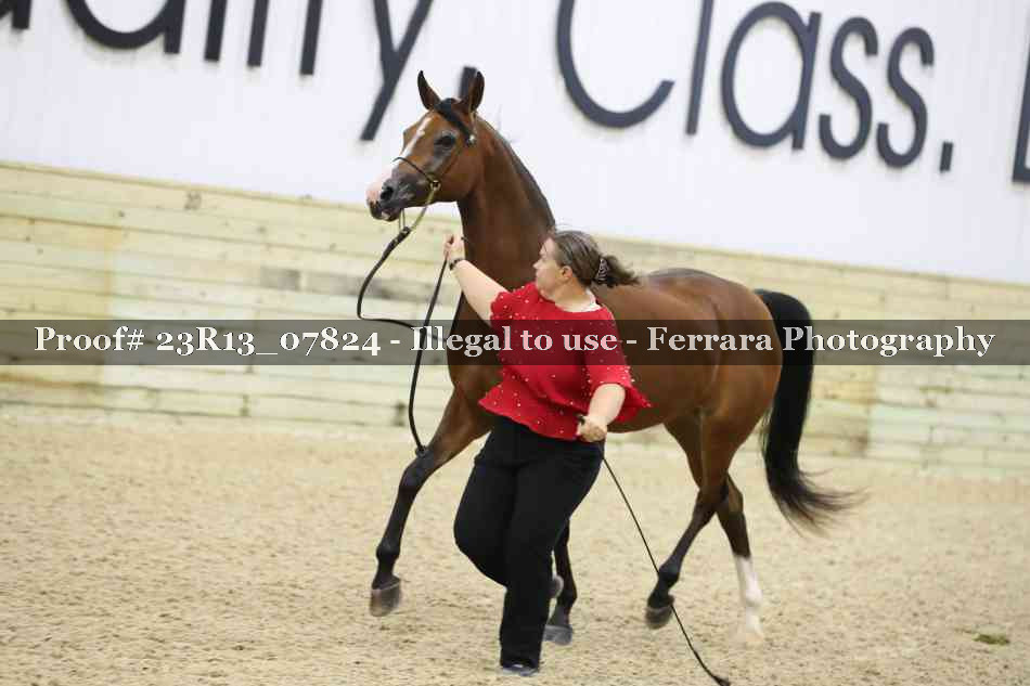 Proof 23R13_07824