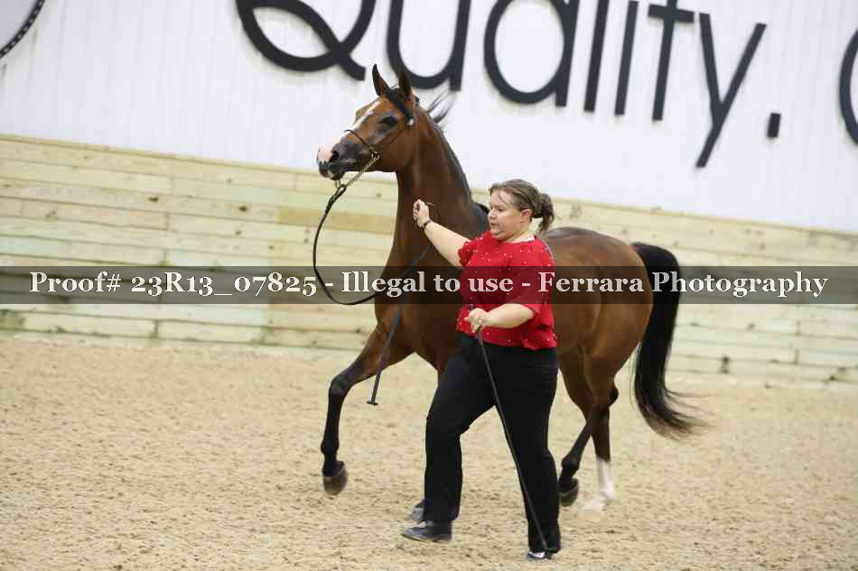Proof 23R13_07825