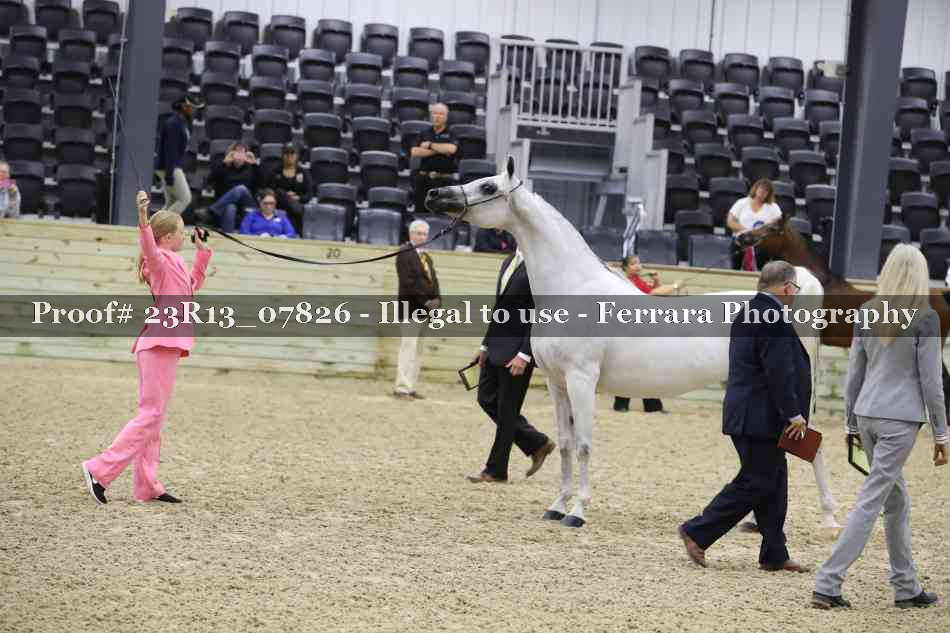 Proof 23R13_07826