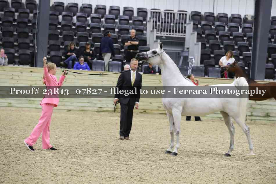 Proof 23R13_07827
