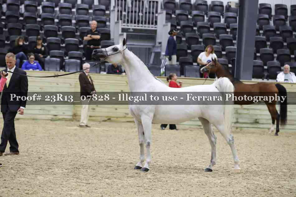 Proof 23R13_07828