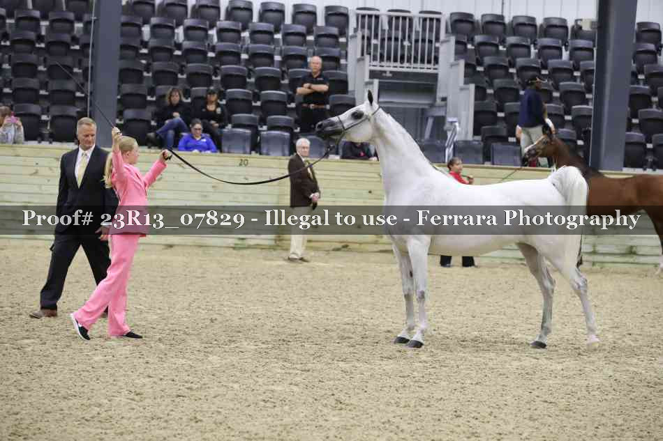 Proof 23R13_07829