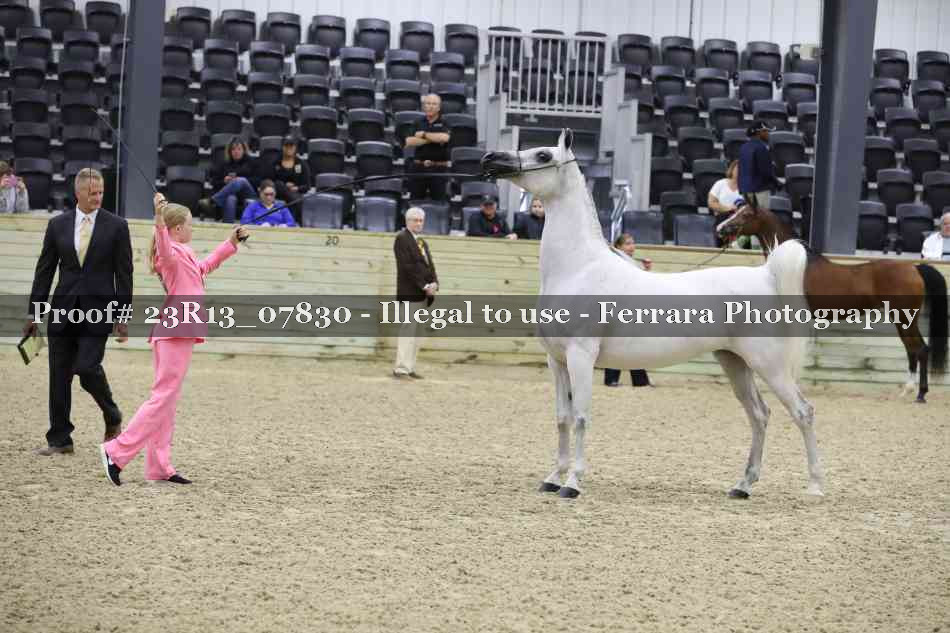 Proof 23R13_07830