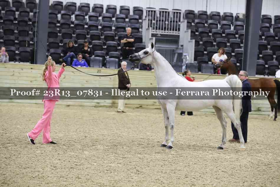 Proof 23R13_07831