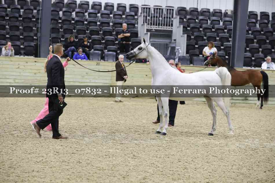 Proof 23R13_07832