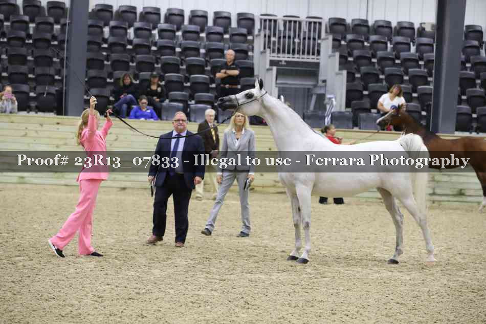Proof 23R13_07833