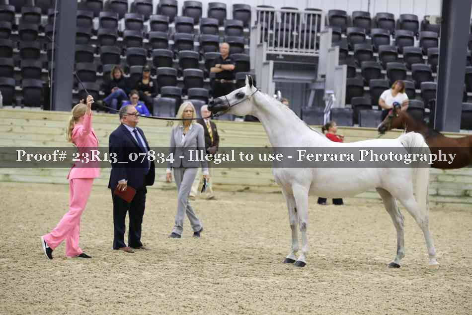 Proof 23R13_07834