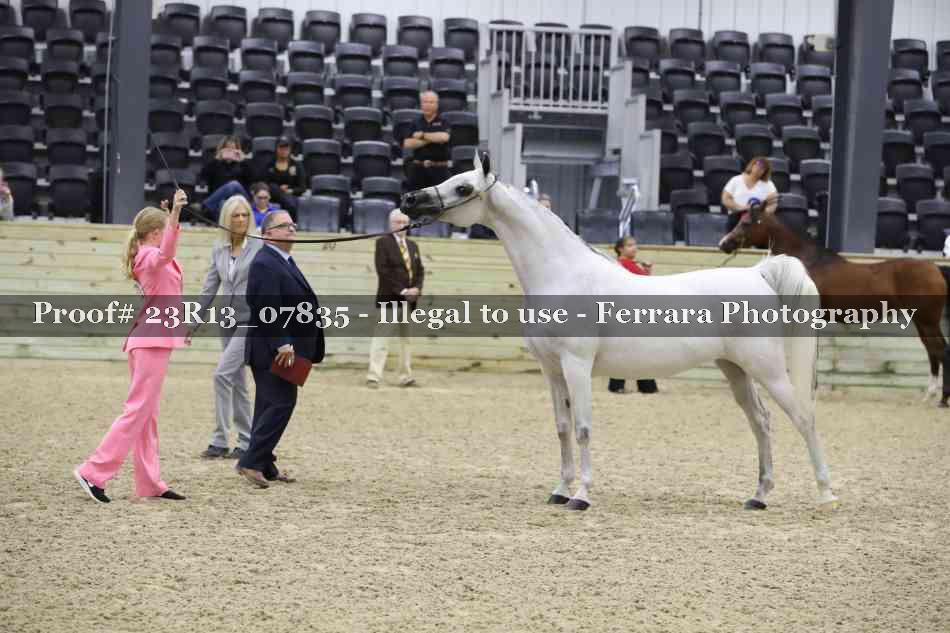 Proof 23R13_07835
