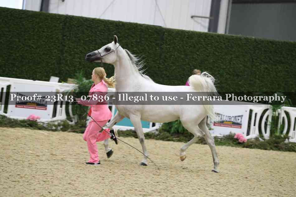 Proof 23R13_07836