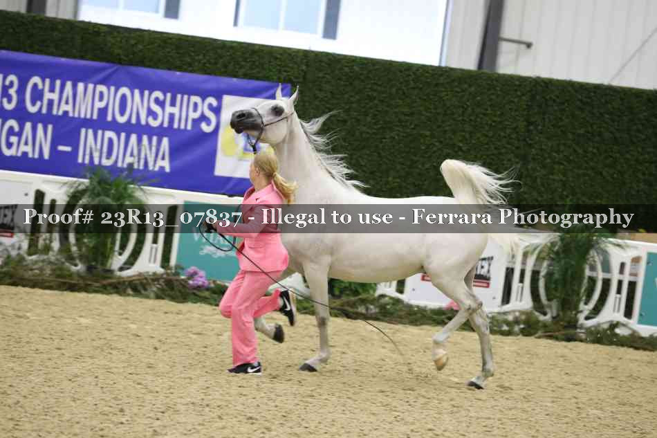 Proof 23R13_07837