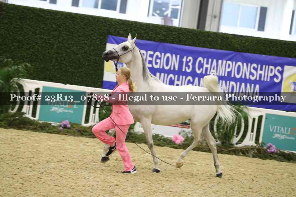 Proof 23R13_07838