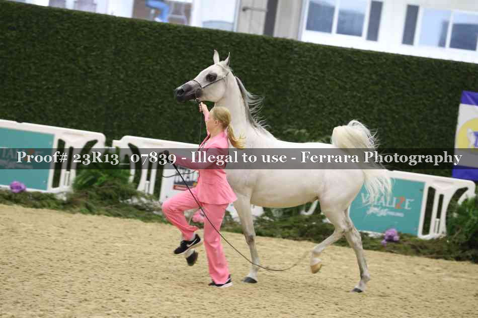 Proof 23R13_07839
