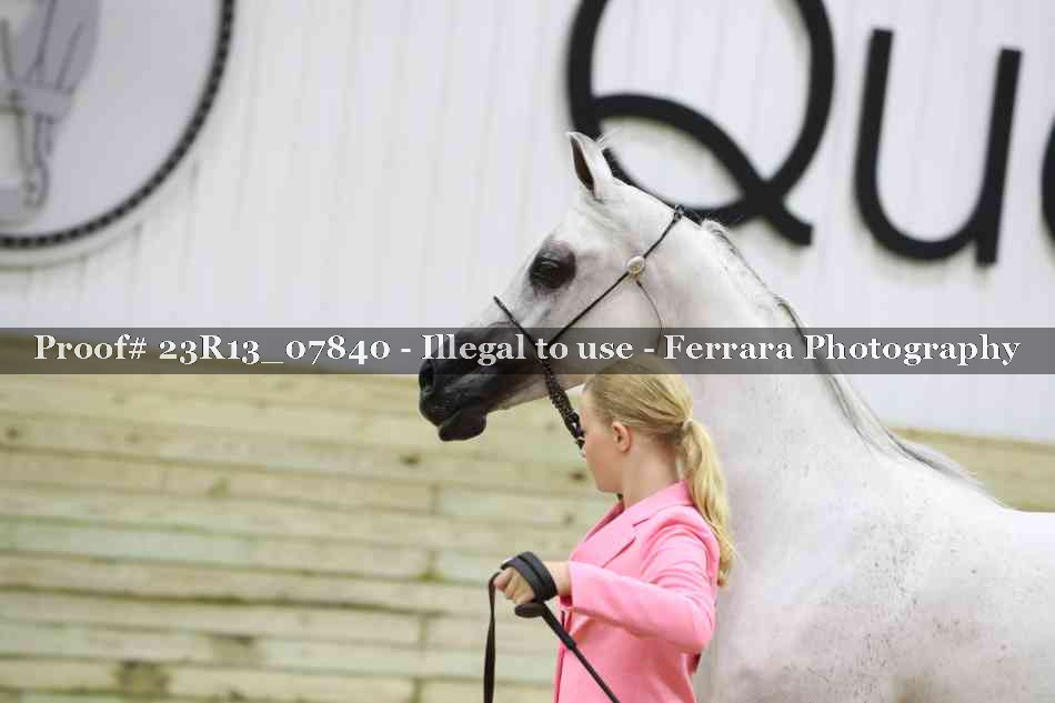 Proof 23R13_07840