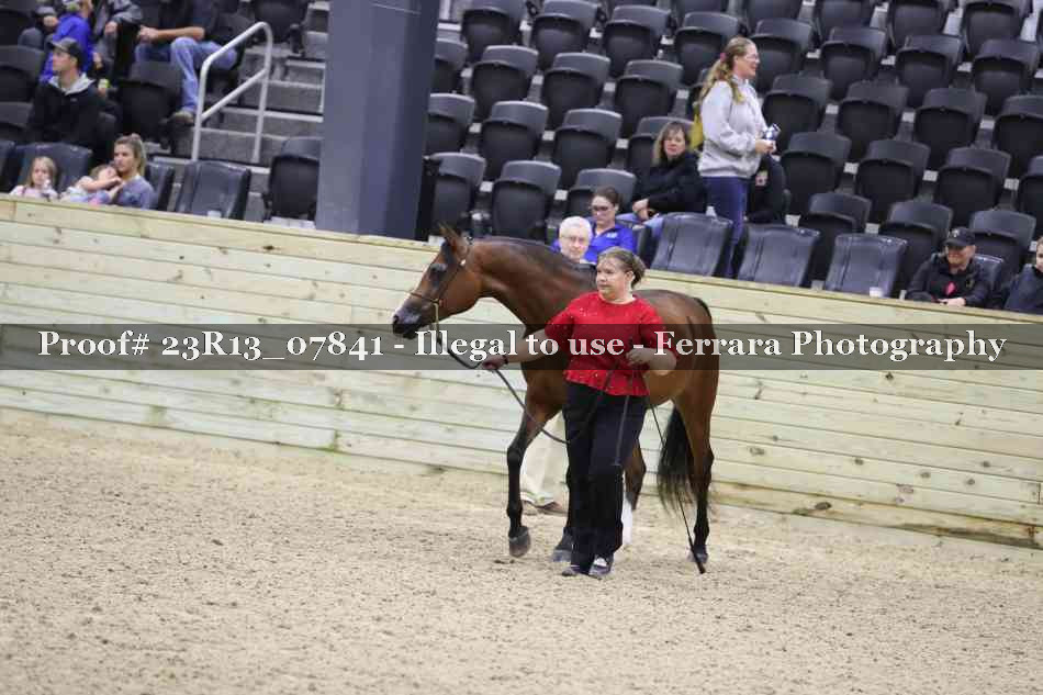 Proof 23R13_07841