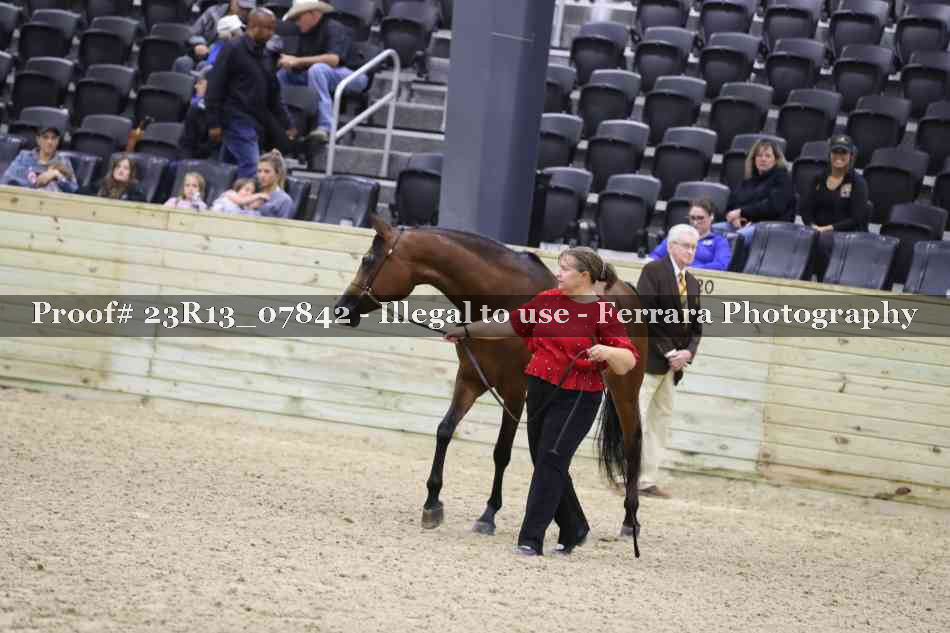 Proof 23R13_07842