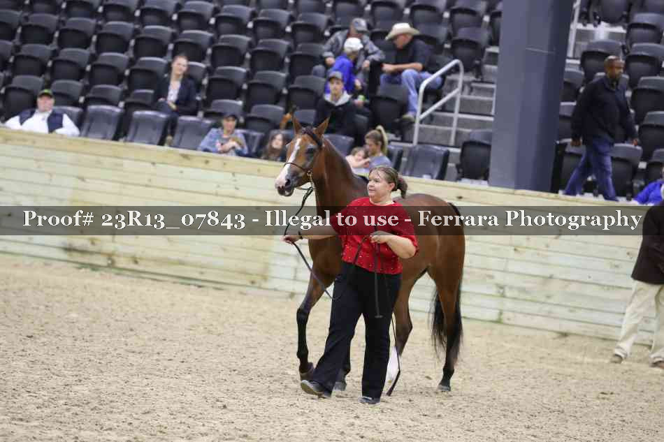 Proof 23R13_07843
