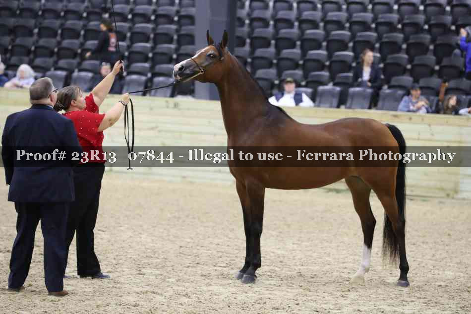 Proof 23R13_07844