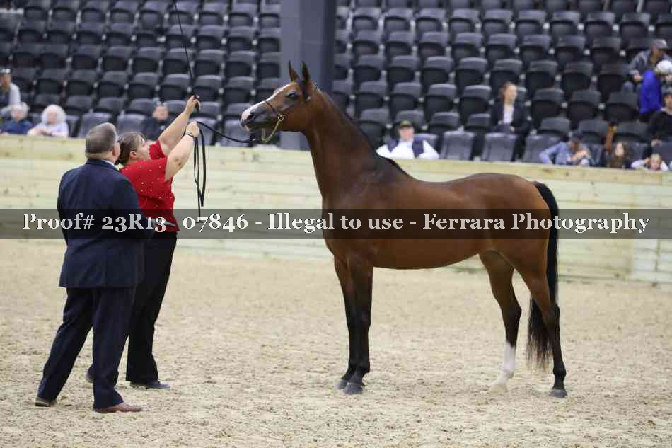 Proof 23R13_07846