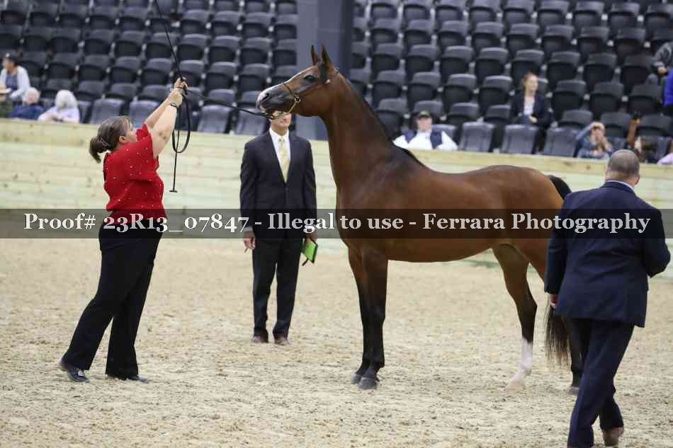 Proof 23R13_07847