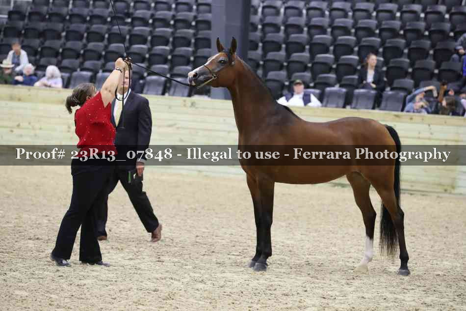 Proof 23R13_07848