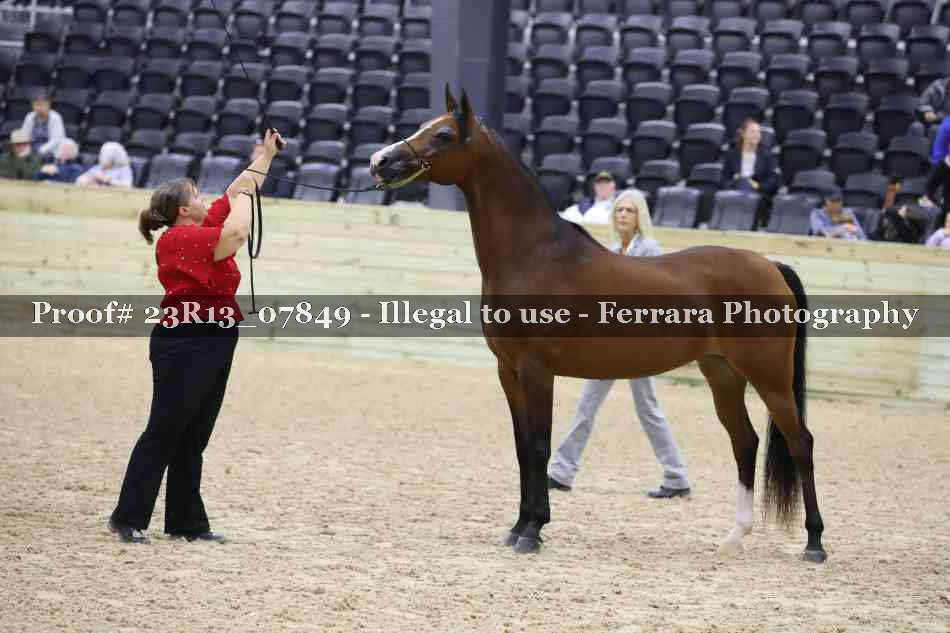 Proof 23R13_07849