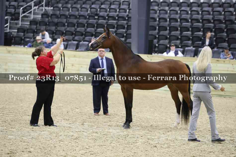 Proof 23R13_07851