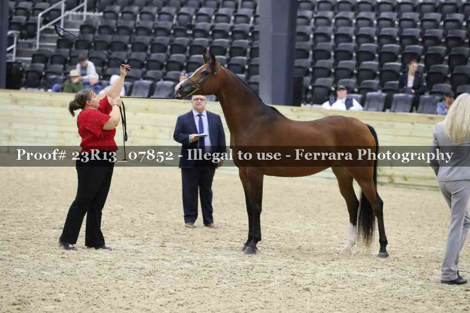 Proof 23R13_07852
