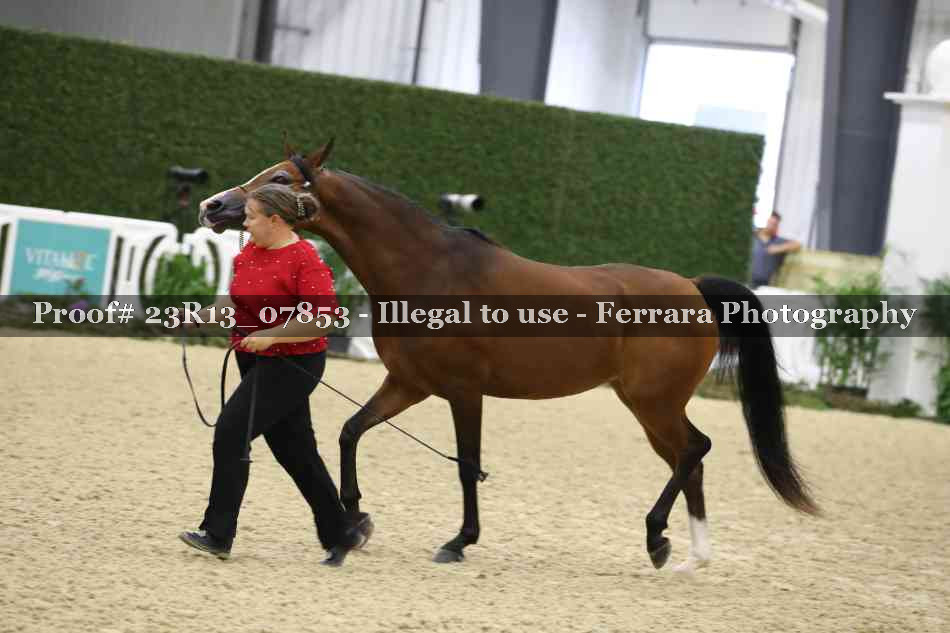 Proof 23R13_07853