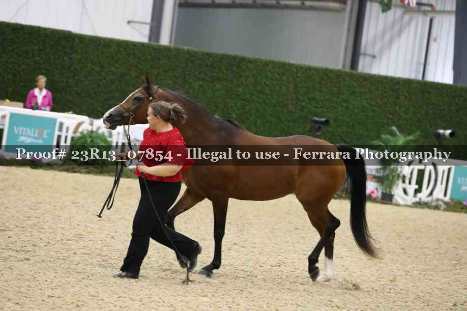 Proof 23R13_07854