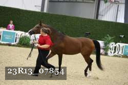 23R13_07854 proof