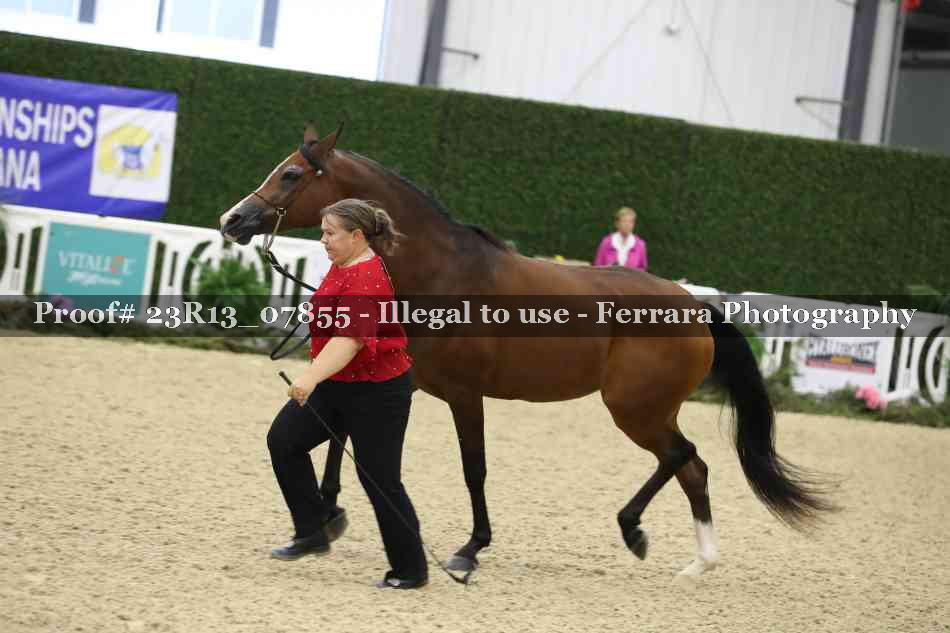 Proof 23R13_07855