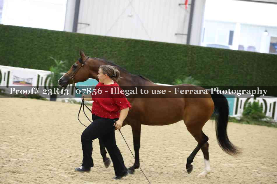 Proof 23R13_07856