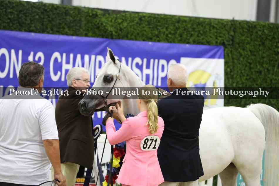 Proof 23R13_07860