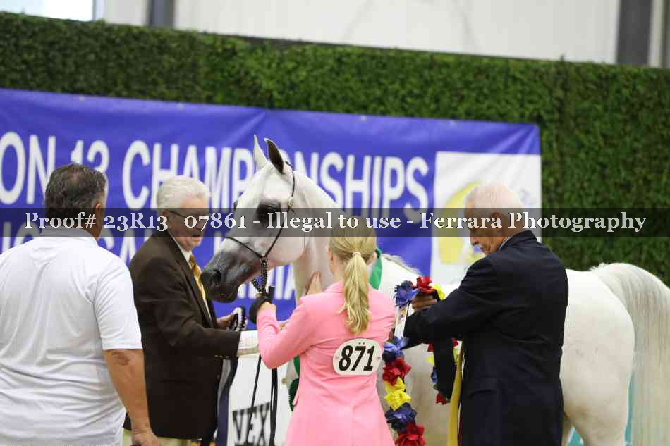 Proof 23R13_07861