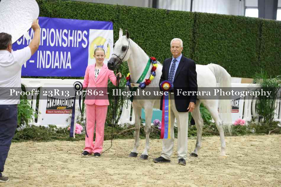 Proof 23R13_07862