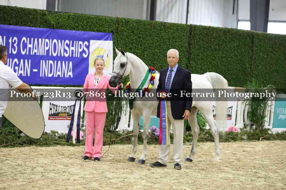 Proof 23R13_07863