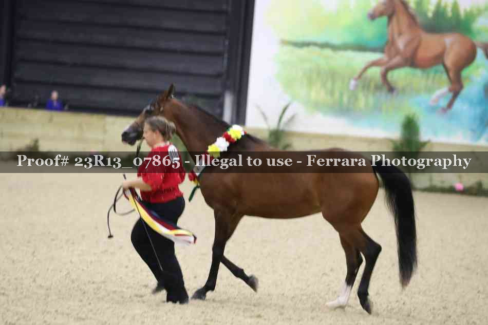 Proof 23R13_07865