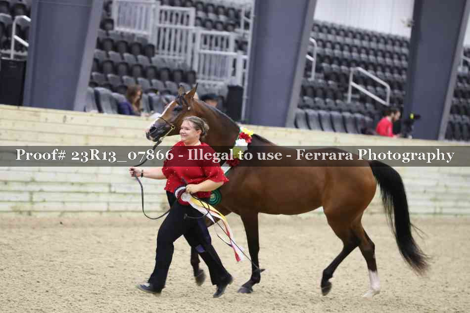 Proof 23R13_07866
