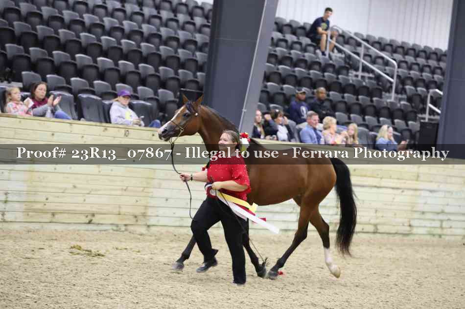 Proof 23R13_07867