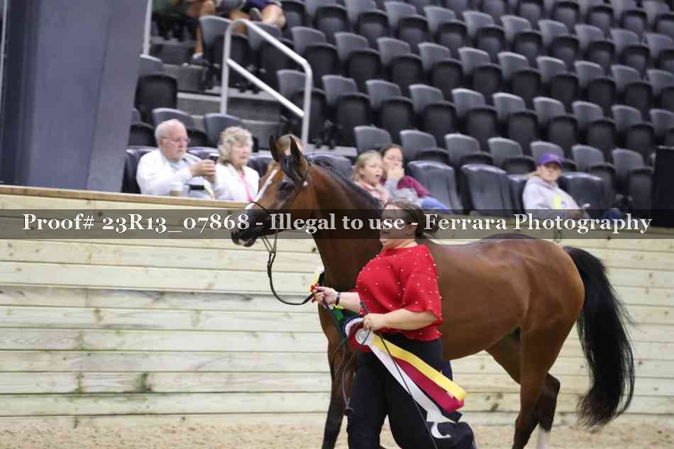 Proof 23R13_07868