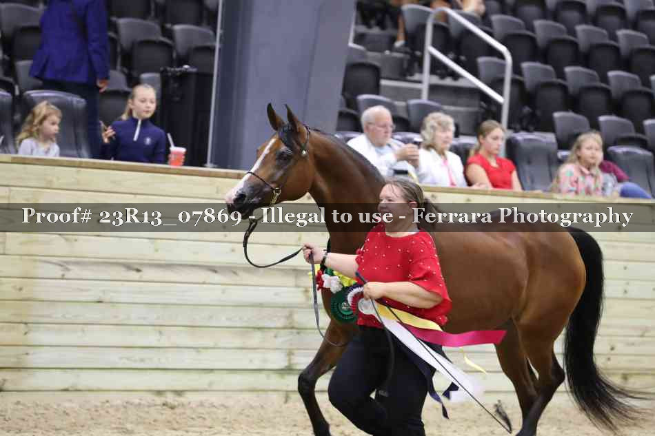 Proof 23R13_07869