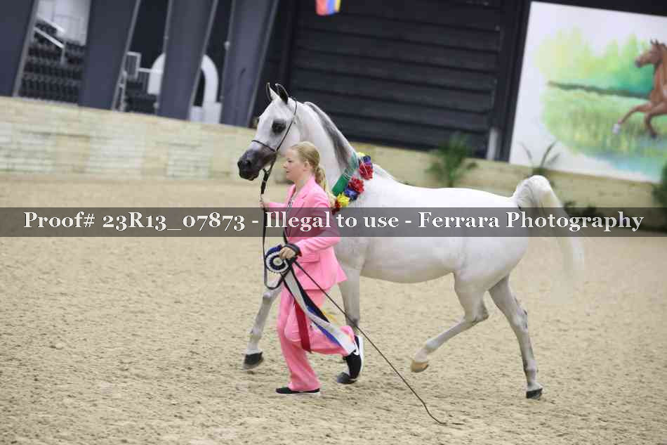 Proof 23R13_07873