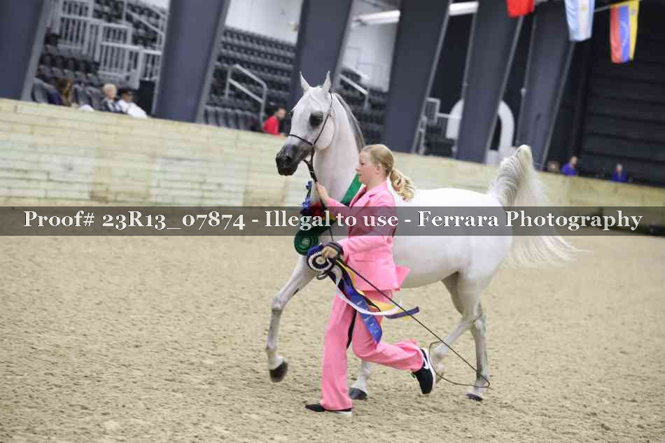 Proof 23R13_07874